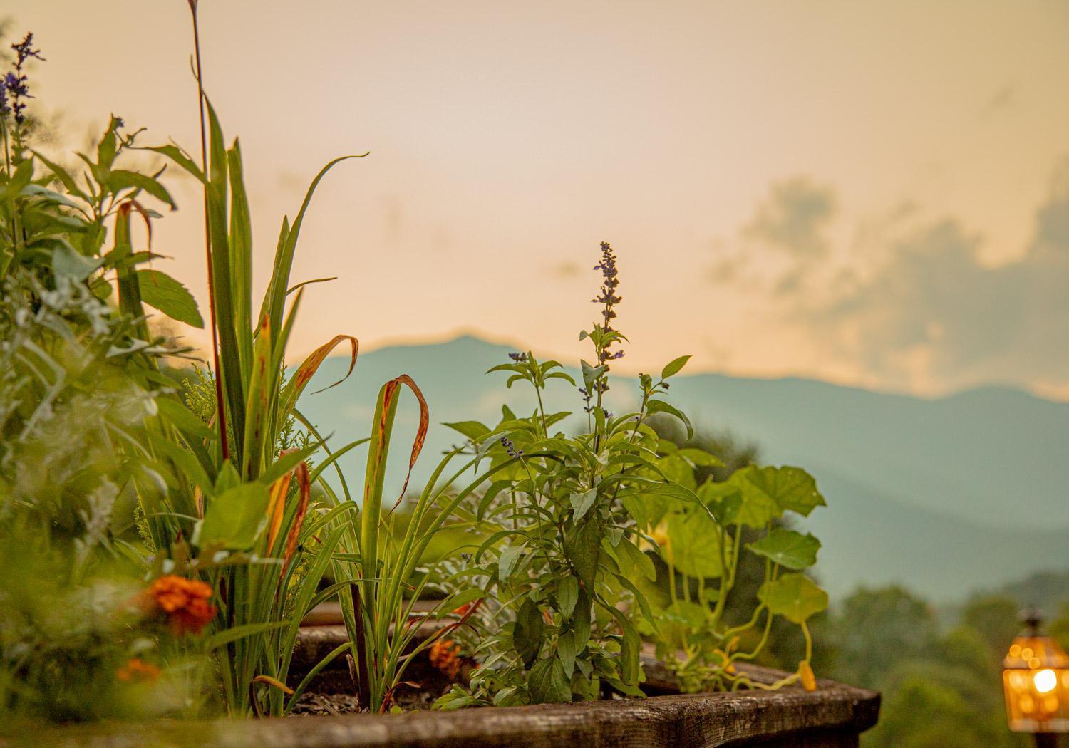 Mount Mitchell Eco Retreat Villa Busick Ngoại thất bức ảnh