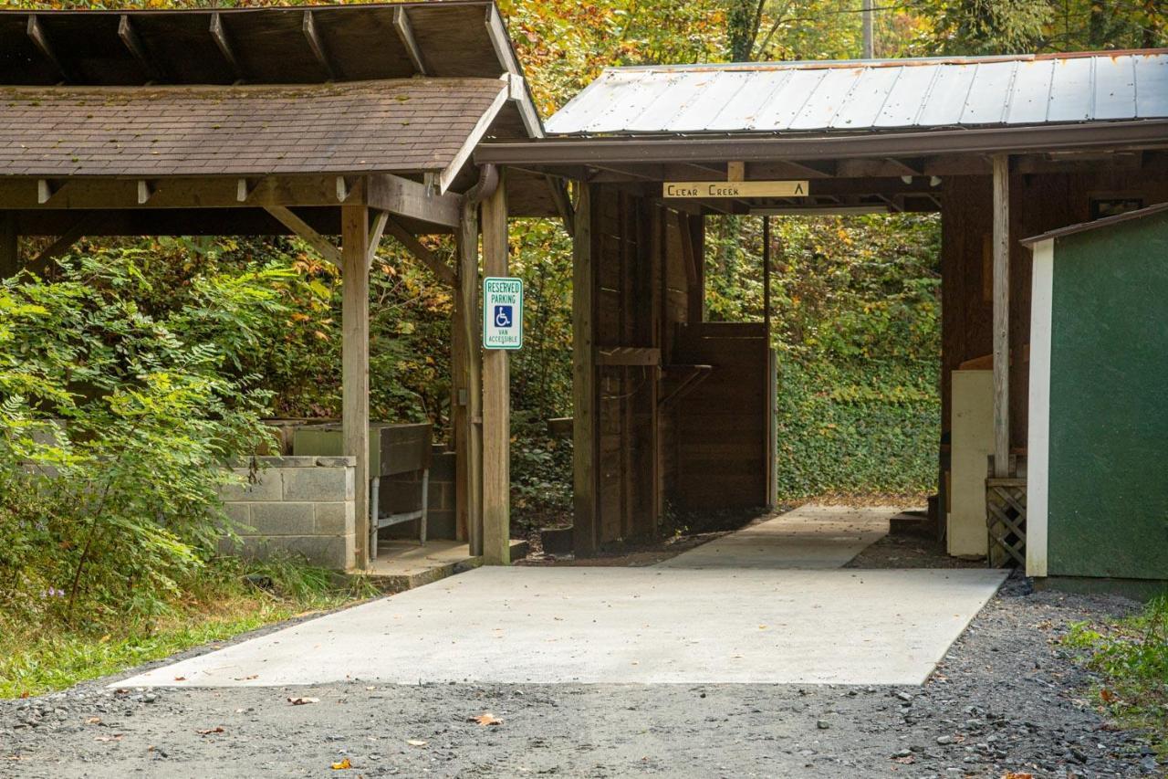 Mount Mitchell Eco Retreat Villa Busick Ngoại thất bức ảnh